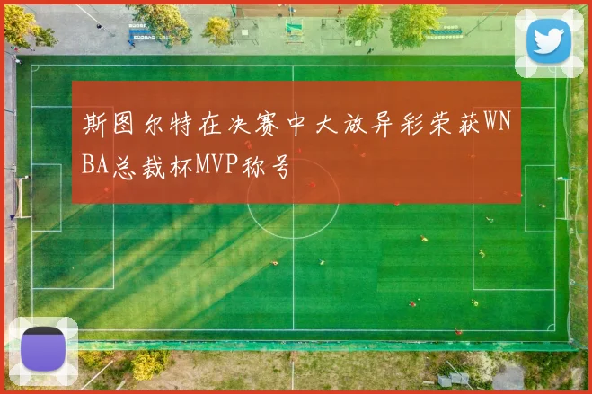 斯图尔特在决赛中大放异彩荣获WNBA总裁杯MVP称号
