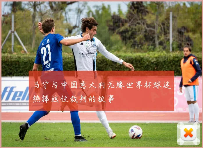 马宁与中国意大利无缘世界杯球迷热捧这位裁判的故事